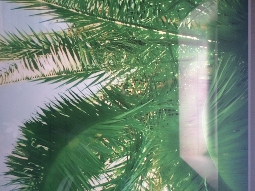 pot17_10